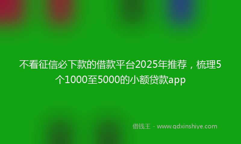 不看征信必下款的借款平台2025年推荐，梳理5个1000至5000的小额贷款app