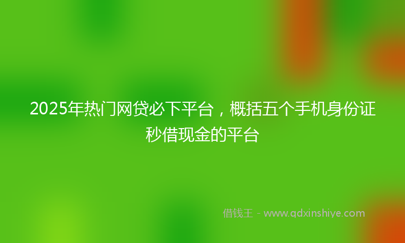 2025年热门网贷必下平台，概括五个手机身份证秒借现金的平台