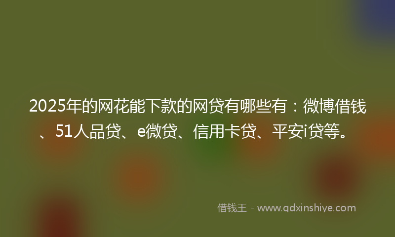 2025年的网花能下款的网贷有哪些有：微博借钱、51人品贷、e微贷、信用卡贷、平安i贷等。