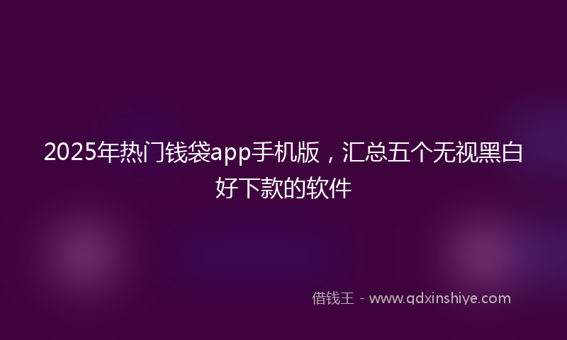 2025年热门钱袋app手机版，汇总五个无视黑白好下款的软件