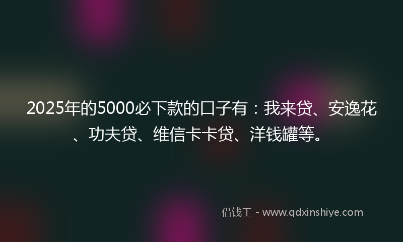 2025年的5000必下款的口子有:我来贷、安逸花、功夫贷、维信卡卡贷、洋钱罐等。
