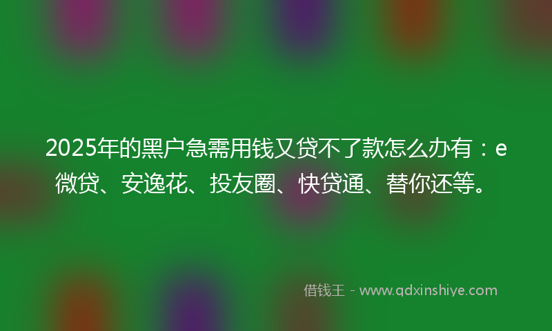 2025年的黑户急需用钱又贷不了款怎么办有：e微贷、安逸花、投友圈、快贷通、替你还等。