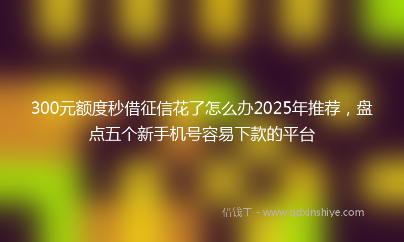 300元额度秒借征信花了怎么办2025年推荐，盘点五个新手机号容易下款的平台