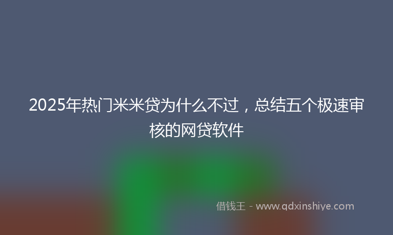 2025年热门米米贷为什么不过，总结五个极速审核的网贷软件