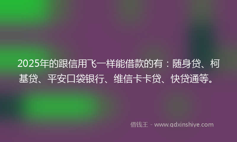 2025年的跟信用飞一样能借款的有：随身贷、柯基贷、平安口袋银行、维信卡卡贷、快贷通等。