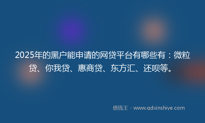 2025年的黑户能申请的网贷平台有哪些有：微粒贷、你我贷、惠商贷、东方汇、还呗等。