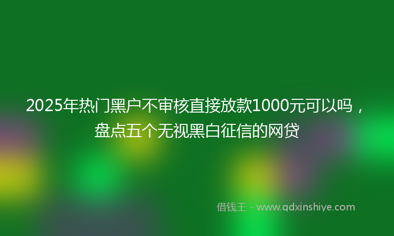 2025年热门黑户不审核直接放款1000元可以吗，盘点五个无视黑白征信的网贷