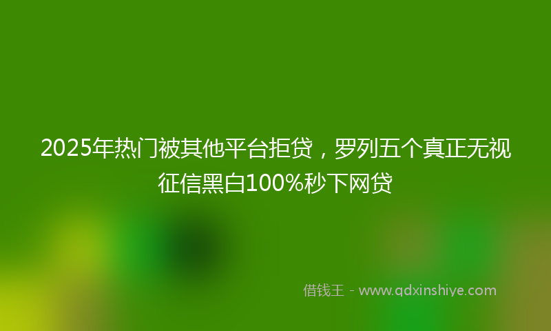 2025年热门被其他平台拒贷，罗列五个真正无视征信黑白100%秒下网贷