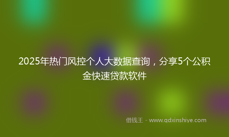 2025年热门风控个人大数据查询，分享5个公积金快速贷款软件