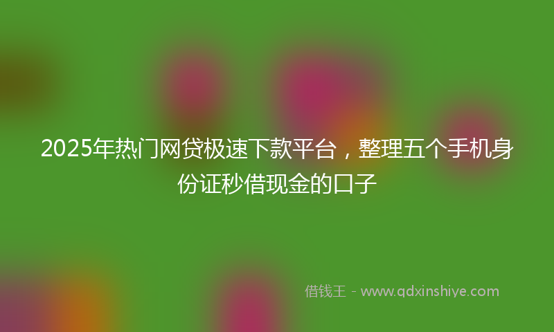 2025年热门网贷极速下款平台，整理五个手机身份证秒借现金的口子