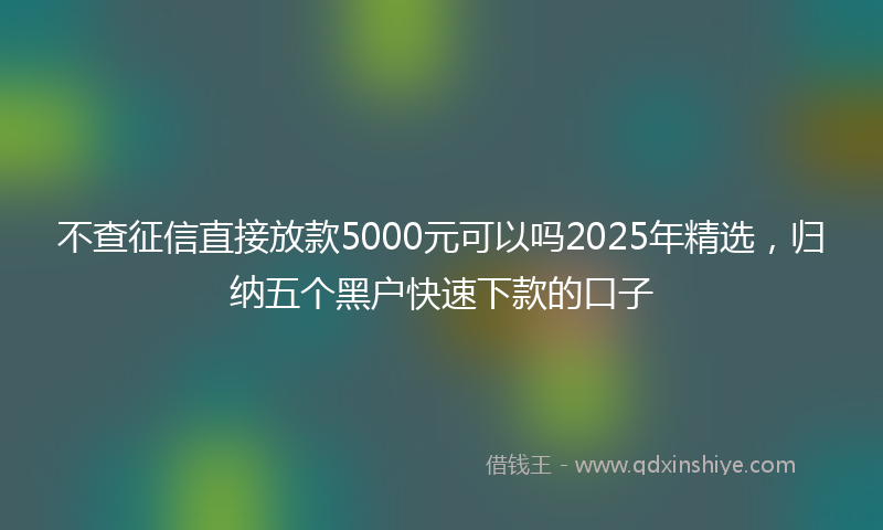 不查征信直接放款5000元可以吗2025年精选，归纳五个黑户快速下款的口子