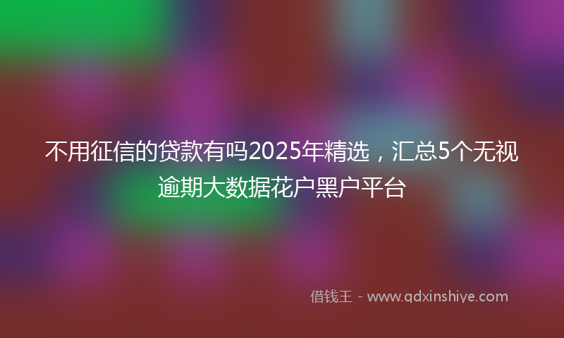 不用征信的贷款有吗2025年精选，汇总5个无视逾期大数据花户黑户平台