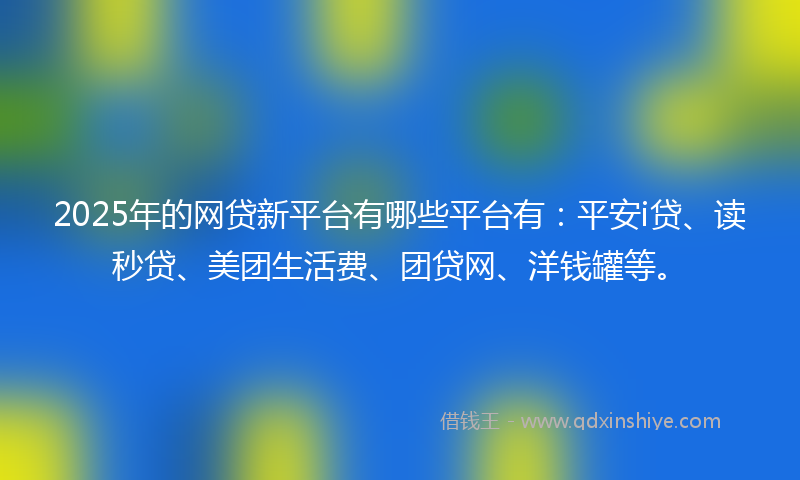 2025年的网贷新平台有哪些平台有：平安i贷、读秒贷、美团生活费、团贷网、洋钱罐等。