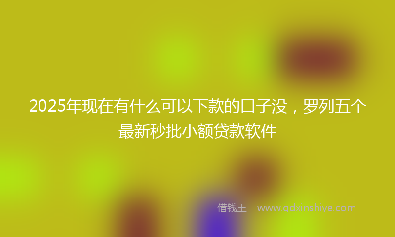 2025年现在有什么可以下款的口子没，罗列五个最新秒批小额贷款软件