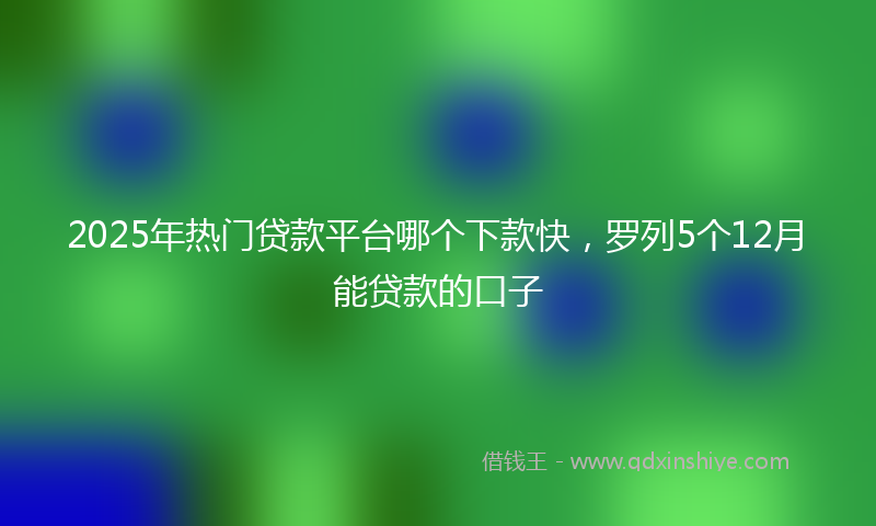 2025年热门贷款平台哪个下款快，罗列5个12月能贷款的口子