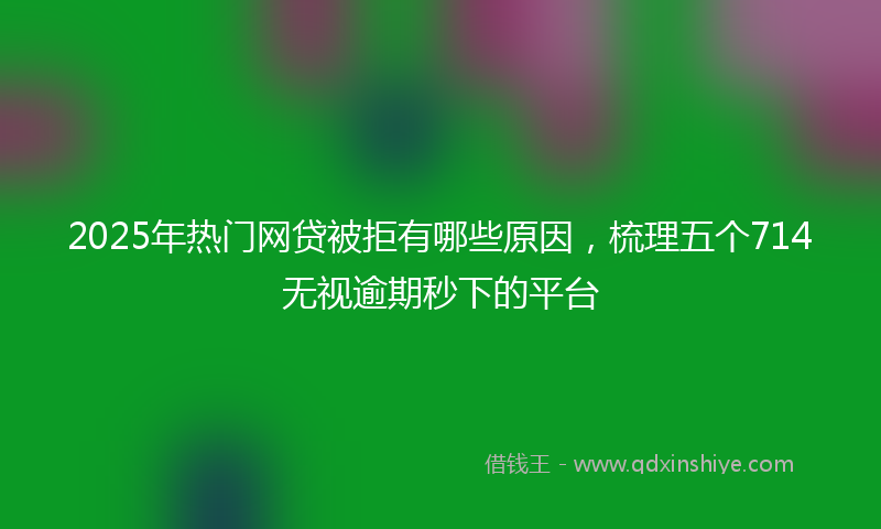 2025年热门网贷被拒有哪些原因，梳理五个714无视逾期秒下的平台