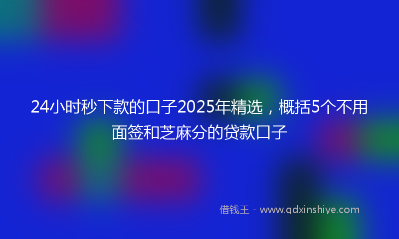 24小时秒下款的口子2025年精选，概括5个不用面签和芝麻分的贷款口子