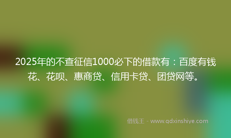 2025年的不查征信1000必下的借款有：百度有钱花、花呗、惠商贷、信用卡贷、团贷网等。