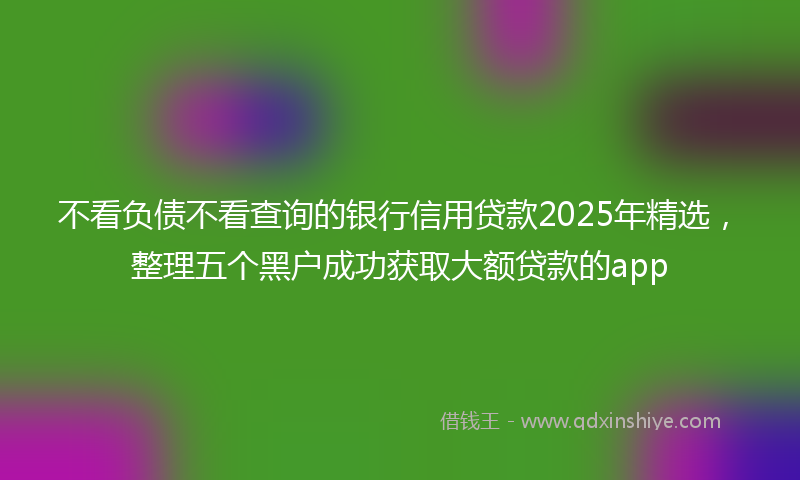 不看负债不看查询的银行信用贷款2025年精选，整理五个黑户成功获取大额贷款的app