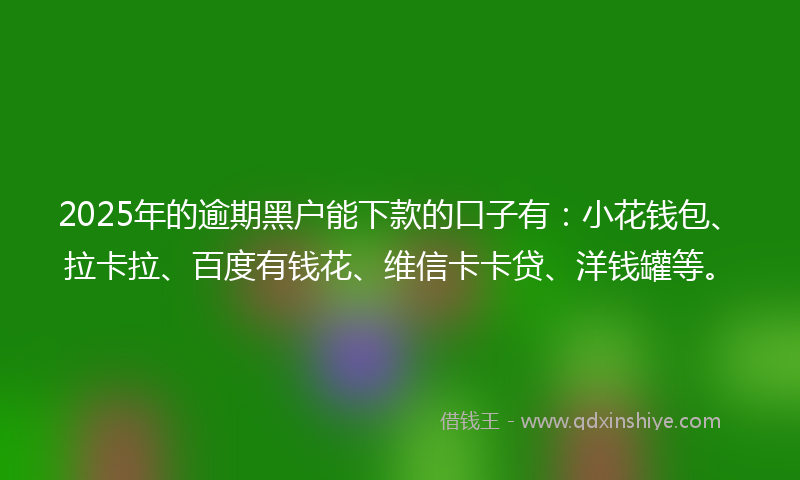 2025年的逾期黑户能下款的口子有：小花钱包、拉卡拉、百度有钱花、维信卡卡贷、洋钱罐等。