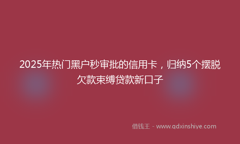 2025年热门黑户秒审批的信用卡，归纳5个摆脱欠款束缚贷款新口子
