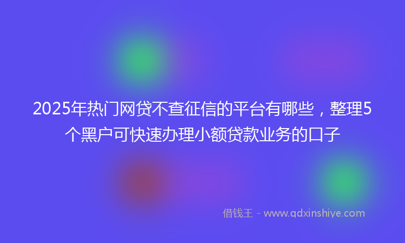 2025年热门网贷不查征信的平台有哪些，整理5个黑户可快速办理小额贷款业务的口子