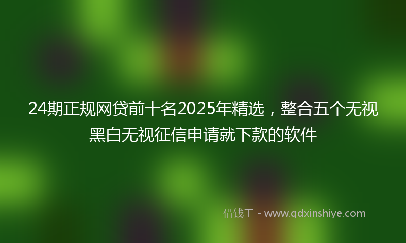 24期正规网贷前十名2025年精选，整合五个无视黑白无视征信申请就下款的软件