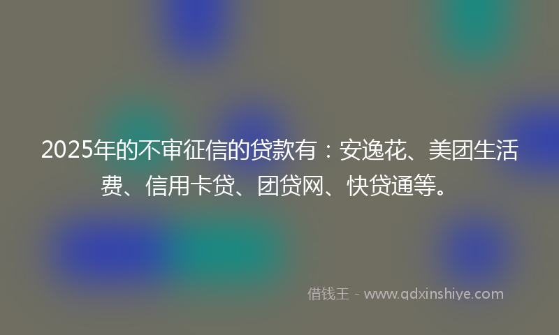 2025年的不审征信的贷款有：安逸花、美团生活费、信用卡贷、团贷网、快贷通等。