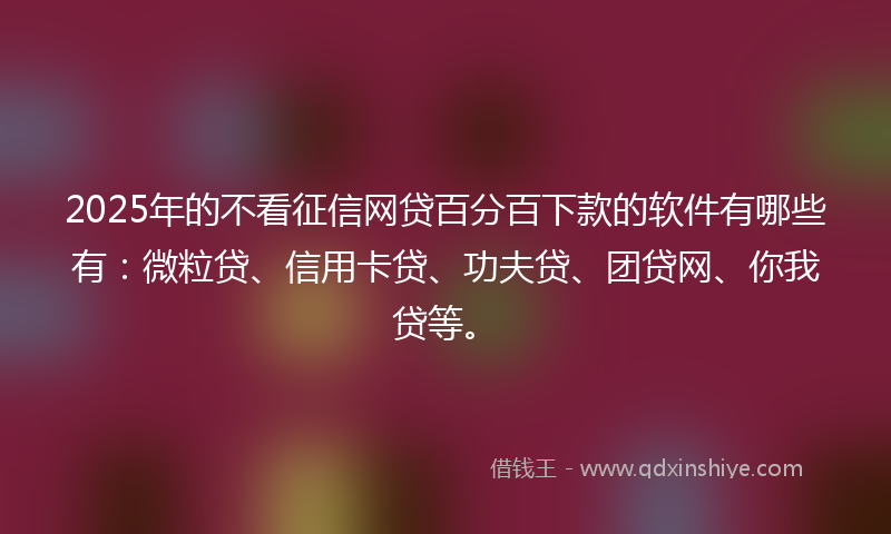 2025年的不看征信网贷百分百下款的软件有哪些有：微粒贷、信用卡贷、功夫贷、团贷网、你我贷等。