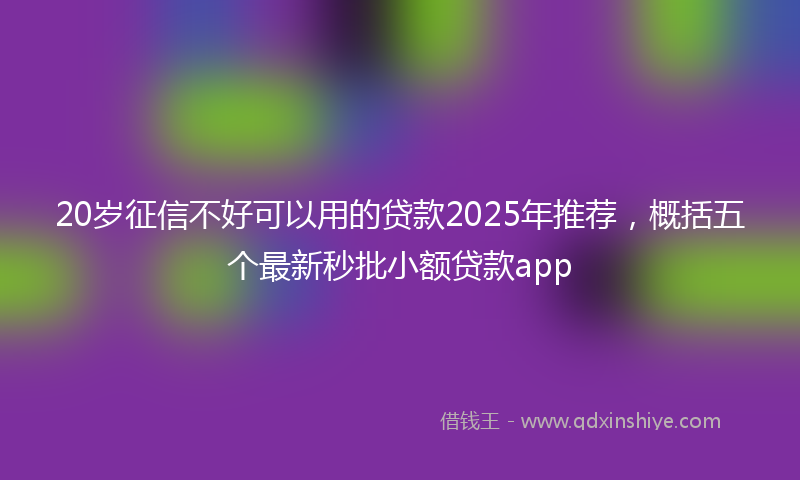 20岁征信不好可以用的贷款2025年推荐，概括五个最新秒批小额贷款app