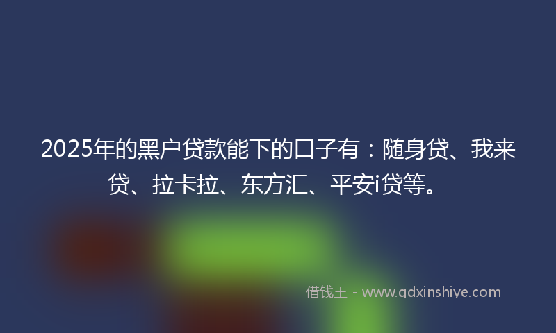 2025年的黑户贷款能下的口子有：随身贷、我来贷、拉卡拉、东方汇、平安i贷等。
