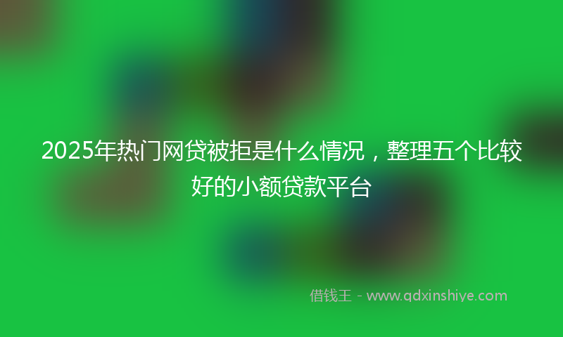 2025年热门网贷被拒是什么情况，整理五个比较好的小额贷款平台