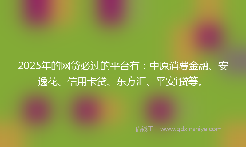 2025年的网贷必过的平台有：中原消费金融、安逸花、信用卡贷、东方汇、平安i贷等。