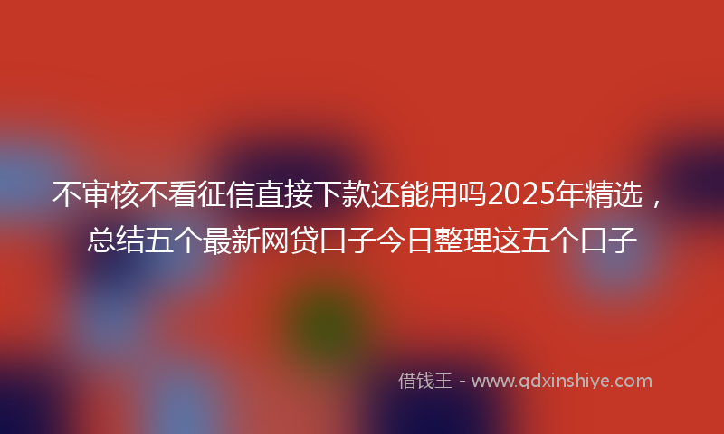 不审核不看征信直接下款还能用吗2025年精选，总结五个最新网贷口子今日整理这五个口子