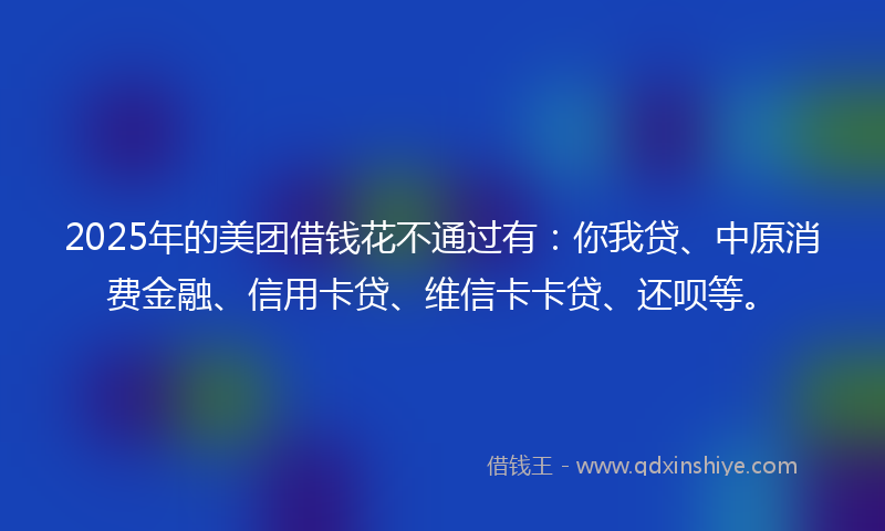 2025年的美团借钱花不通过有：你我贷、中原消费金融、信用卡贷、维信卡卡贷、还呗等。