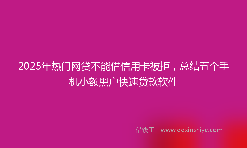 2025年热门网贷不能借信用卡被拒，总结五个手机小额黑户快速贷款软件