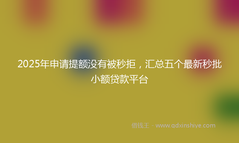 2025年申请提额没有被秒拒，汇总五个最新秒批小额贷款平台