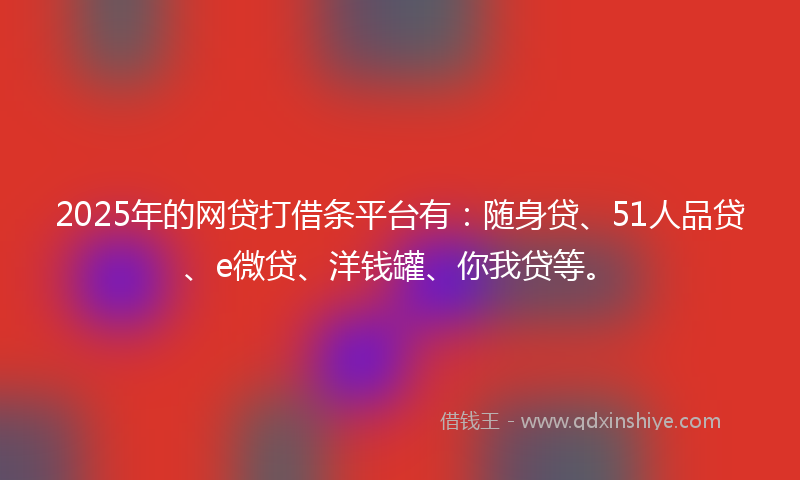 2025年的网贷打借条平台有：随身贷、51人品贷、e微贷、洋钱罐、你我贷等。