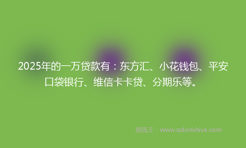 2025年的一万贷款有：东方汇、小花钱包、平安口袋银行、维信卡卡贷、分期乐等。