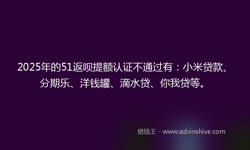 2025年的51返呗提额认证不通过有：小米贷款、分期乐、洋钱罐、滴水贷、你我贷等。