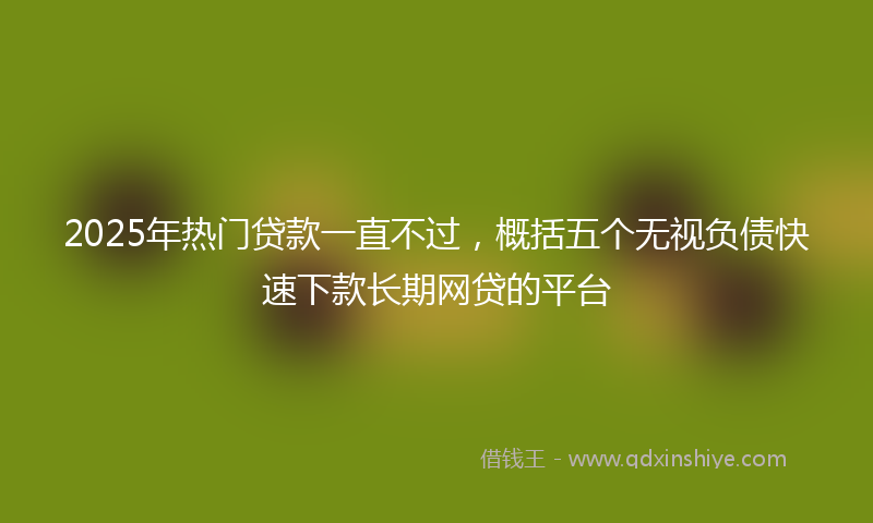 2025年热门贷款一直不过，概括五个无视负债快速下款长期网贷的平台