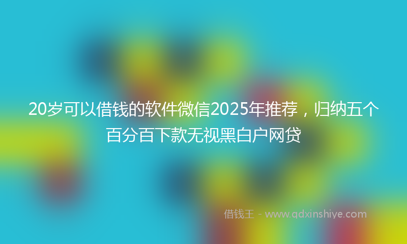 20岁可以借钱的软件微信2025年推荐，归纳五个百分百下款无视黑白户网贷