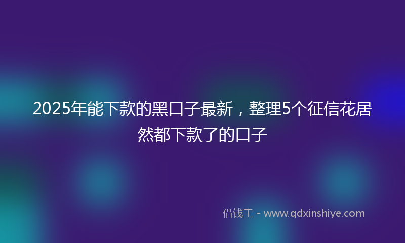2025年能下款的黑口子最新，整理5个征信花居然都下款了的口子
