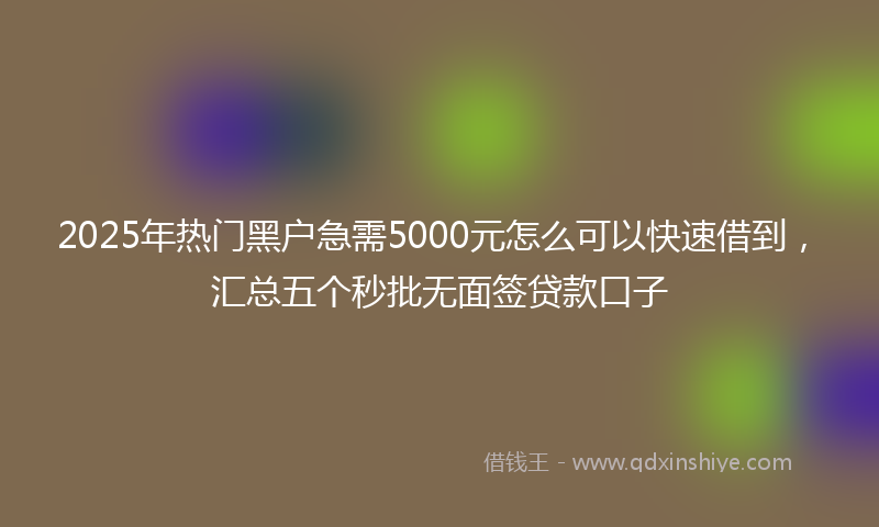 2025年热门黑户急需5000元怎么可以快速借到，汇总五个秒批无面签贷款口子