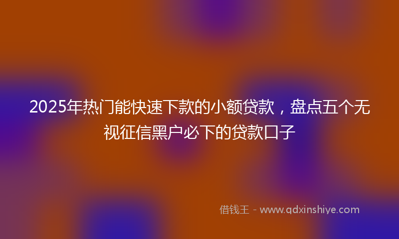 2025年热门能快速下款的小额贷款，盘点五个无视征信黑户必下的贷款口子