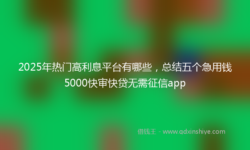 2025年热门高利息平台有哪些，总结五个急用钱5000快审快贷无需征信app