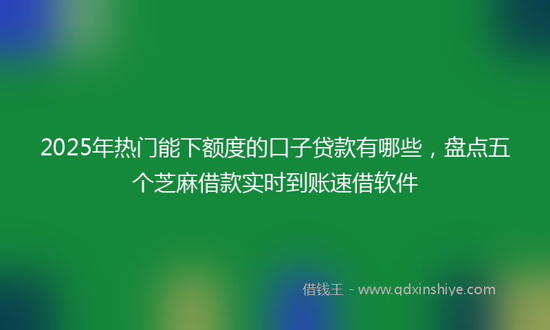 2025年热门能下额度的口子贷款有哪些，盘点五个芝麻借款实时到账速借软件