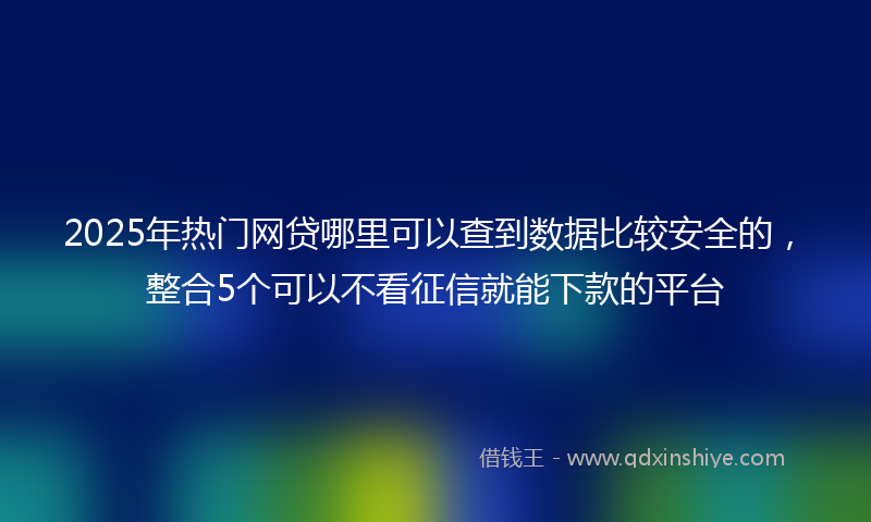 2025年热门网贷哪里可以查到数据比较安全的，整合5个可以不看征信就能下款的平台