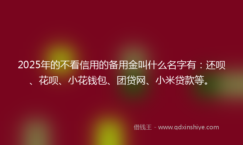 2025年的不看信用的备用金叫什么名字有：还呗、花呗、小花钱包、团贷网、小米贷款等。