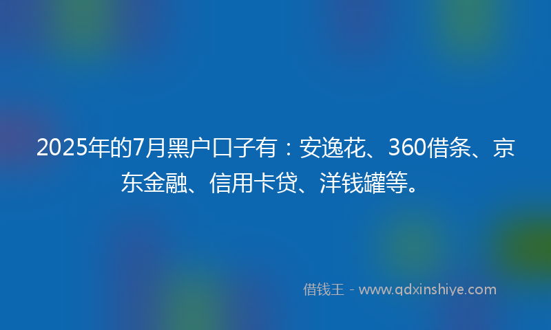 2025年的7月黑户口子有:安逸花、360借条、京东金融、信用卡贷、洋钱罐等。